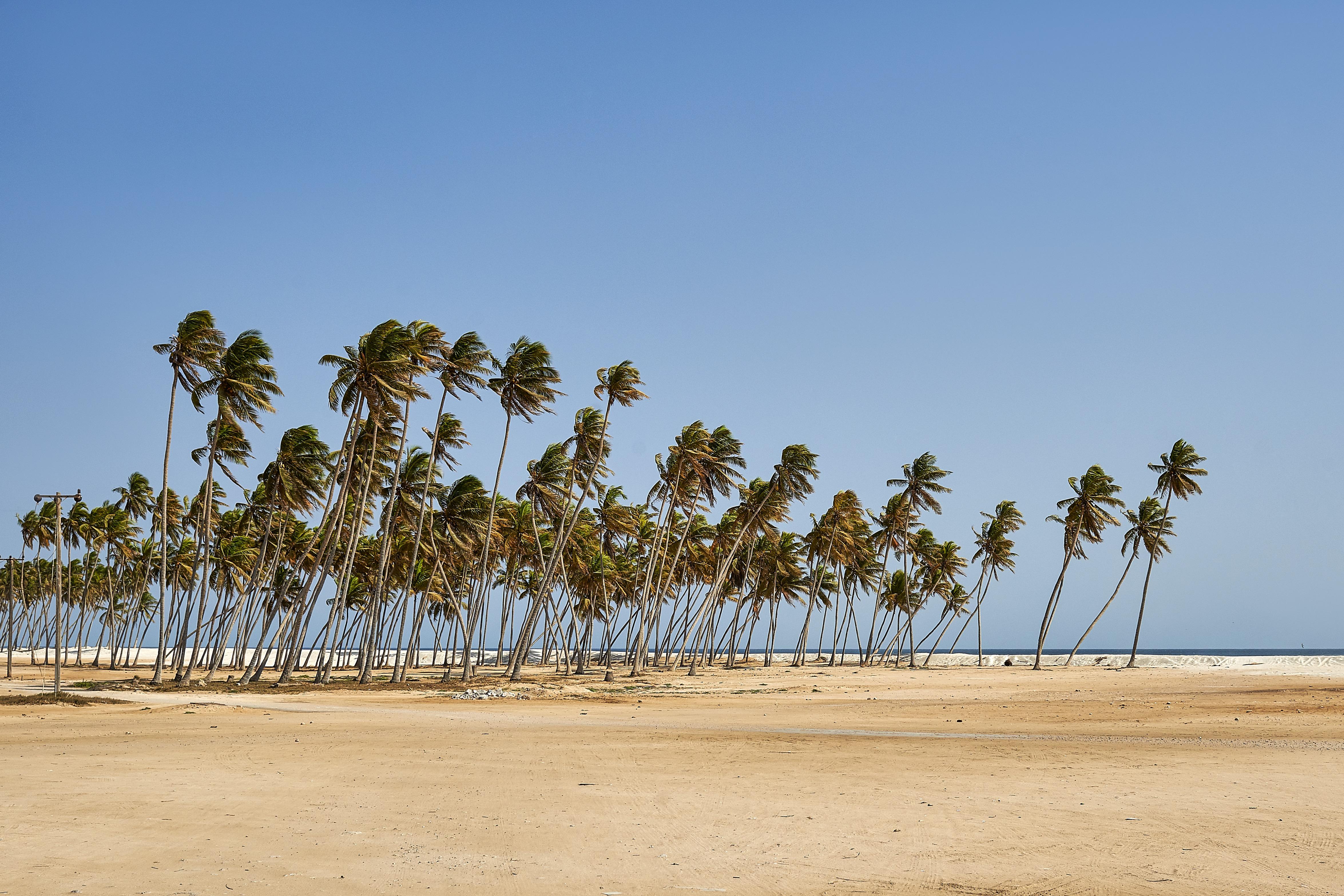 Salalah Gardens Hotel Managed By Safir Hotels & Resorts Exterior photo